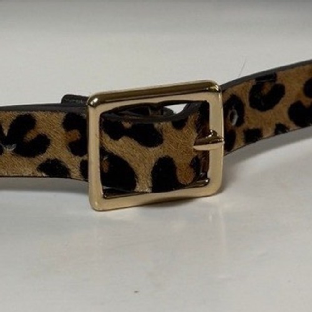 Women's Skinny Leopard Print Calf Hair Belt Gold Tone Square Buckle Brown
